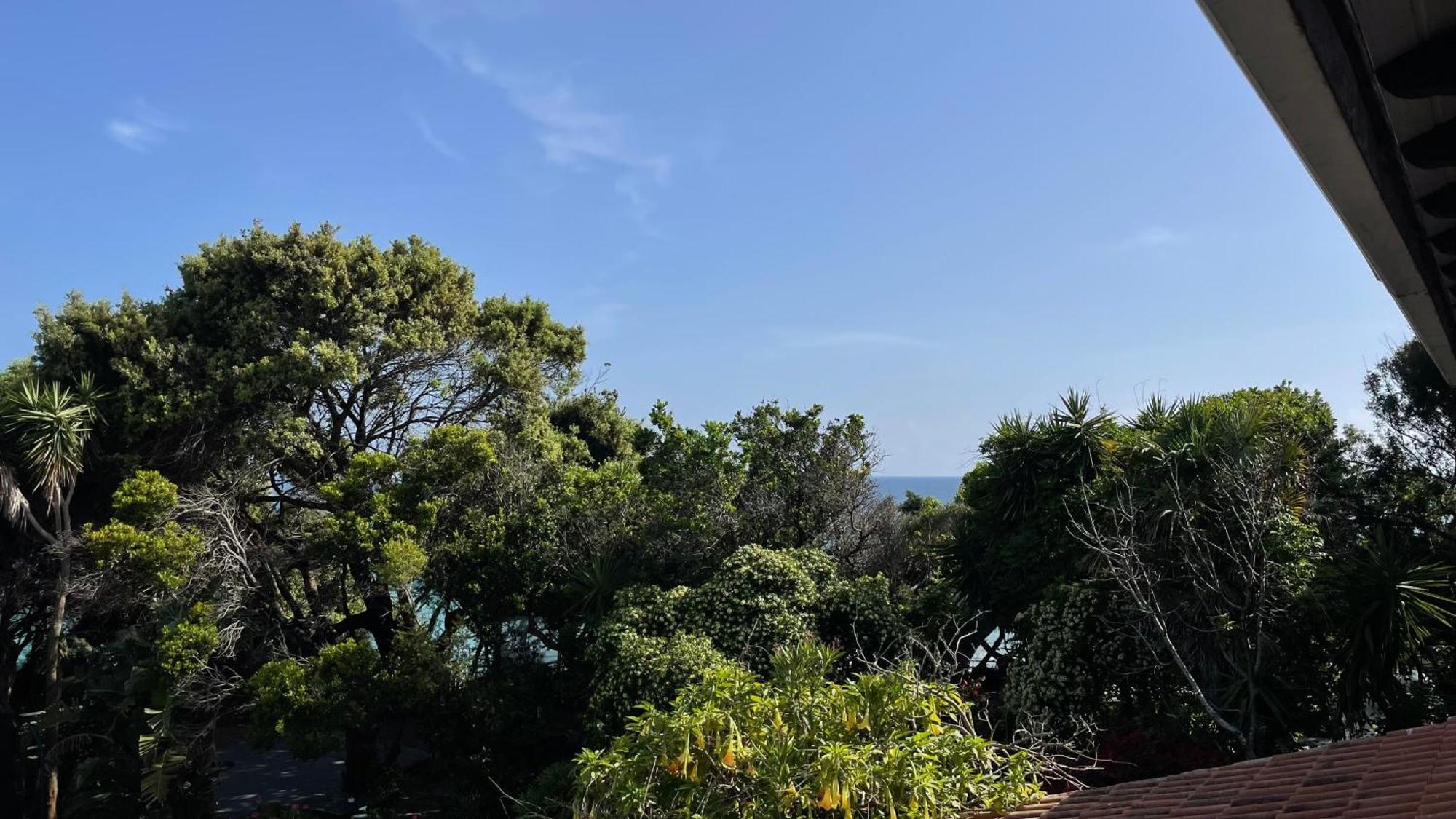 דירות Halikounas Alonaki Bay מראה חיצוני תמונה